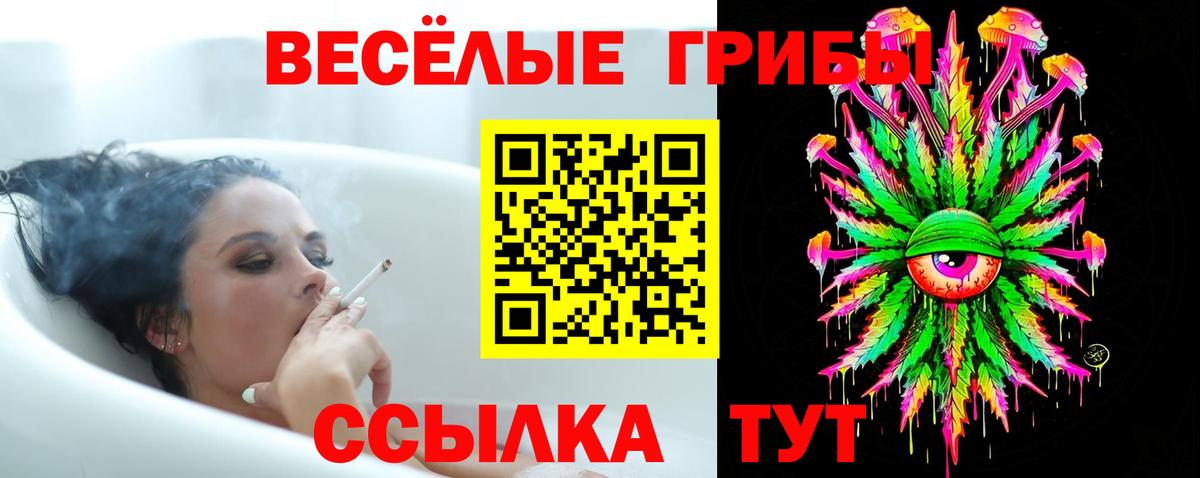 Ефремов  Псилоцибиновые грибы Magic Shrooms  Псилоцибиновые грибы Psilocybine cubensis  Вход с VPN 